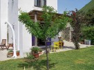 1 Bedroom Homely Rural Apartment with Garden in Forio on the Island of Ischia, Italy